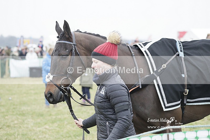 PtP 040323 511 - Duke of Beauforts Hunt Point-to-Point Didmarton 04/03/23
