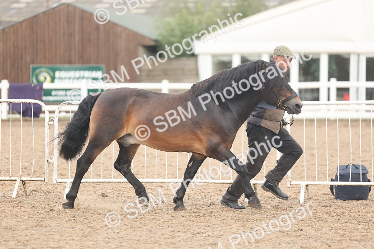 SBM_08470 - Class 29 - IH Veteran Pony