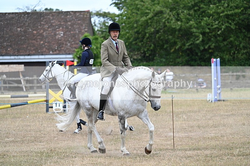 WJ7_0924 - Class 7 Riding Club Show Horse