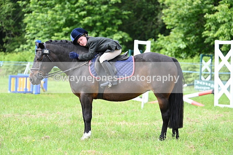 WJ7_0932 - Class 8 First Rally Pony