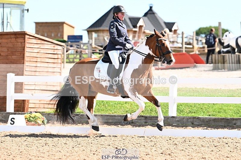 240816A-111012-04010 - 189-Mel.Day-Dolderwydd.lucky.Maisie