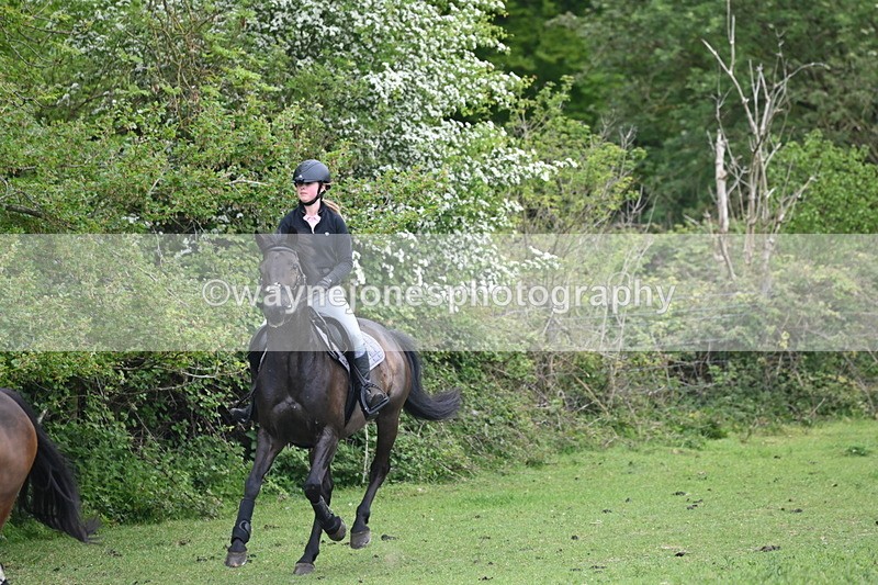 WJ6_2837 - A Camera