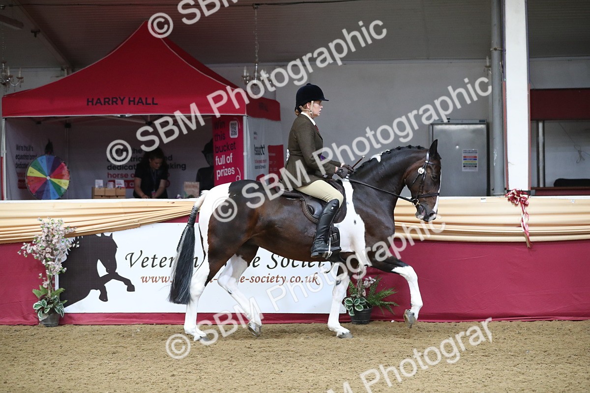 SBM_10486 - Class 102 Equitation (best rider) Adult