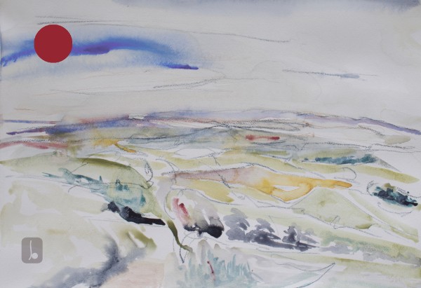 Cheviots from Helm Plantation July Sold - Letter from Home