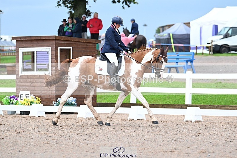 250907-104049-06952 - 016-Sarah.canningJohnny.Knoxville