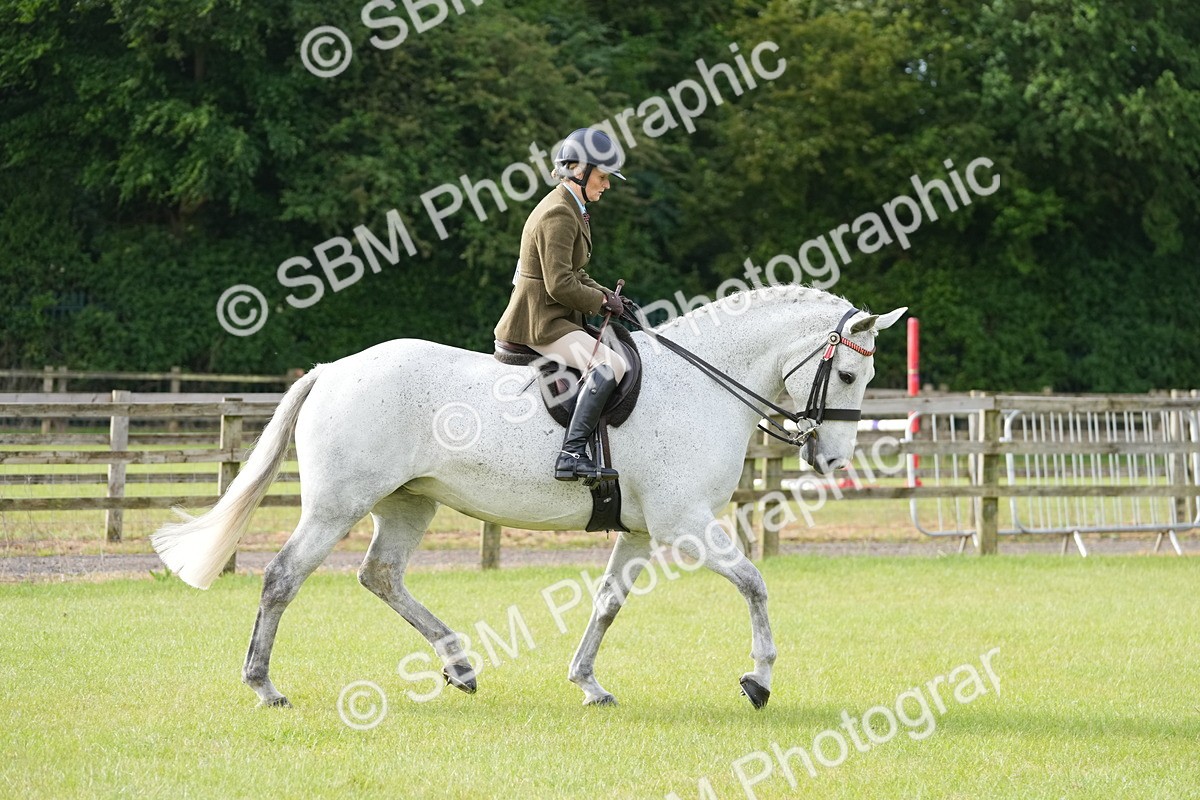 SBM_10573 - Class 97-98 - LIHS BSHA Rising Star Working Show Horse Hunter