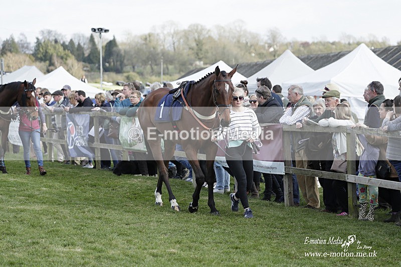 PtP 080423 463 - Dingley Races The Woodland Pytchley Hunt PtP 08/04/23