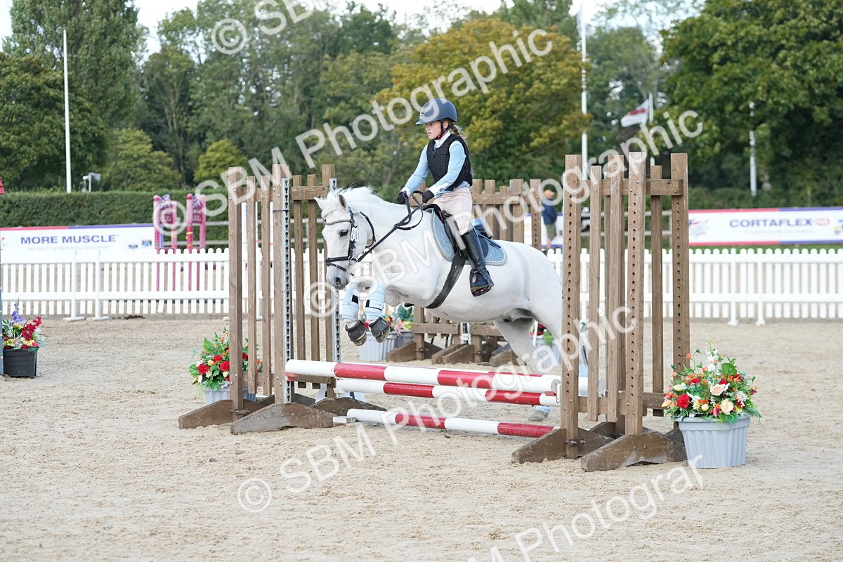 SBM_29172 - J43 - Horse & Hound Open 50cm