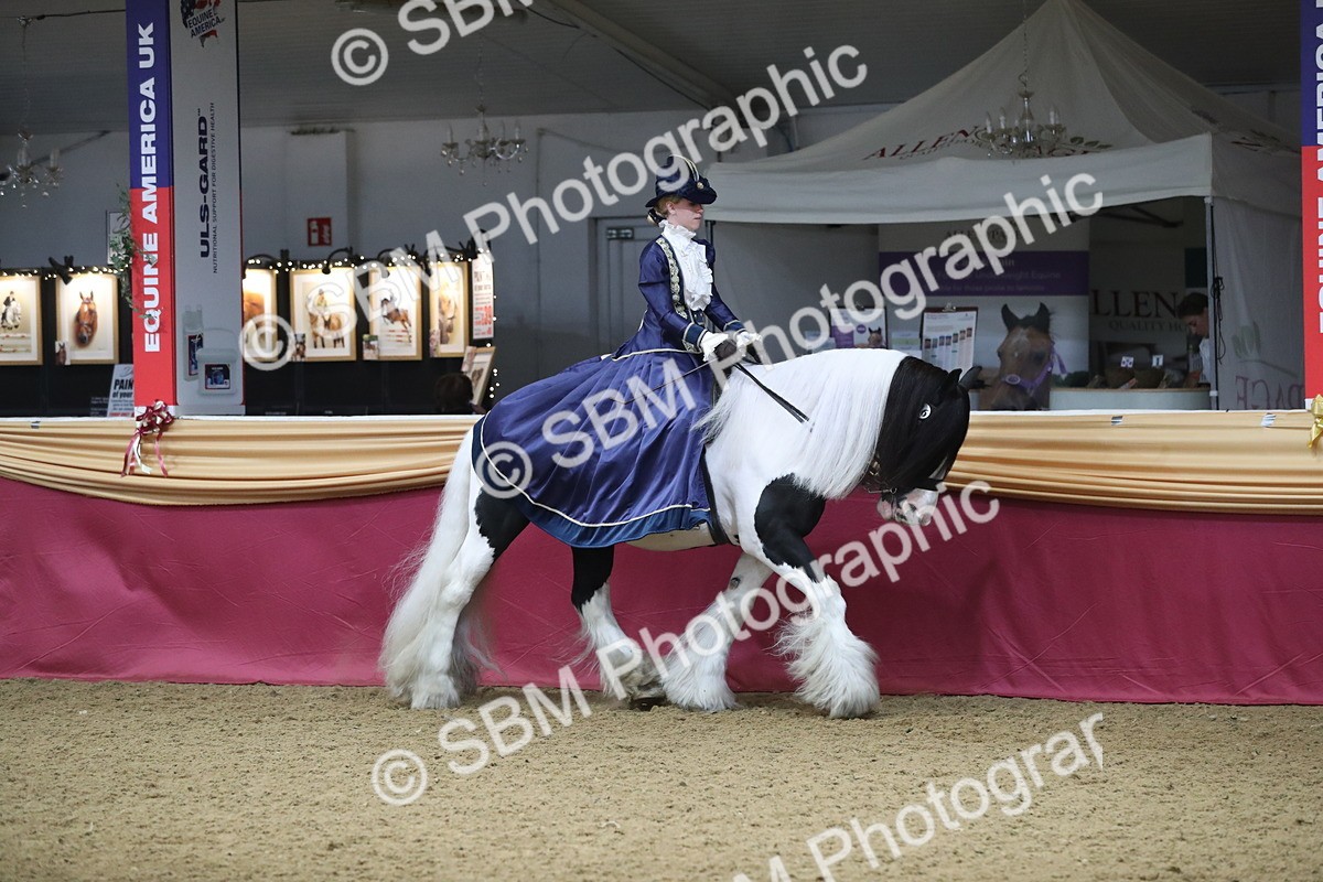 SBM_11961 - Class 106 Ridden Costume- Astride Adult (15-19)