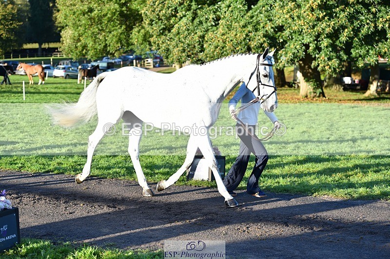 231022-085728-21468 - 646-SKIPTOTHEGOODBIT-Sophia.Mcdonald-TrotUp+SJ