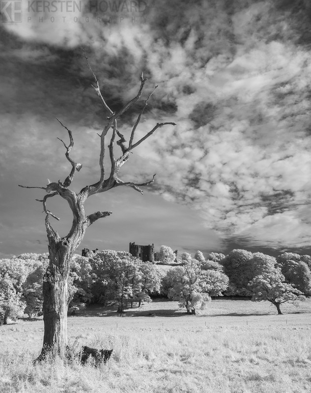 Making A Stand - Llansteffan - New Images