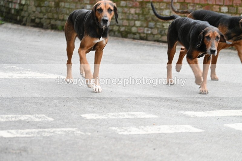 WJ7_1041 - Pub Corner