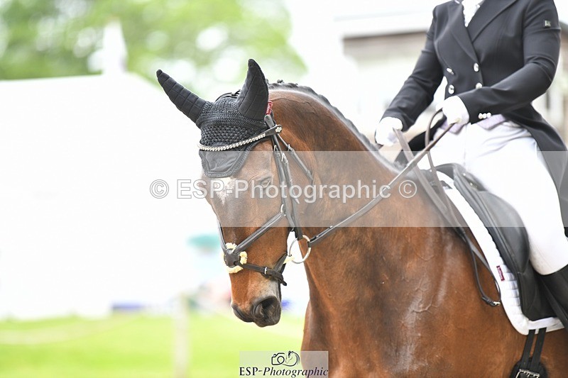 230525-124134-02009 - 110-SAM-Zoe_Boyles-WEDTrotUp+DR