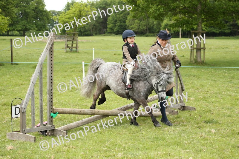 20250517-0517 - Class 20 - Beginners Working Hunter