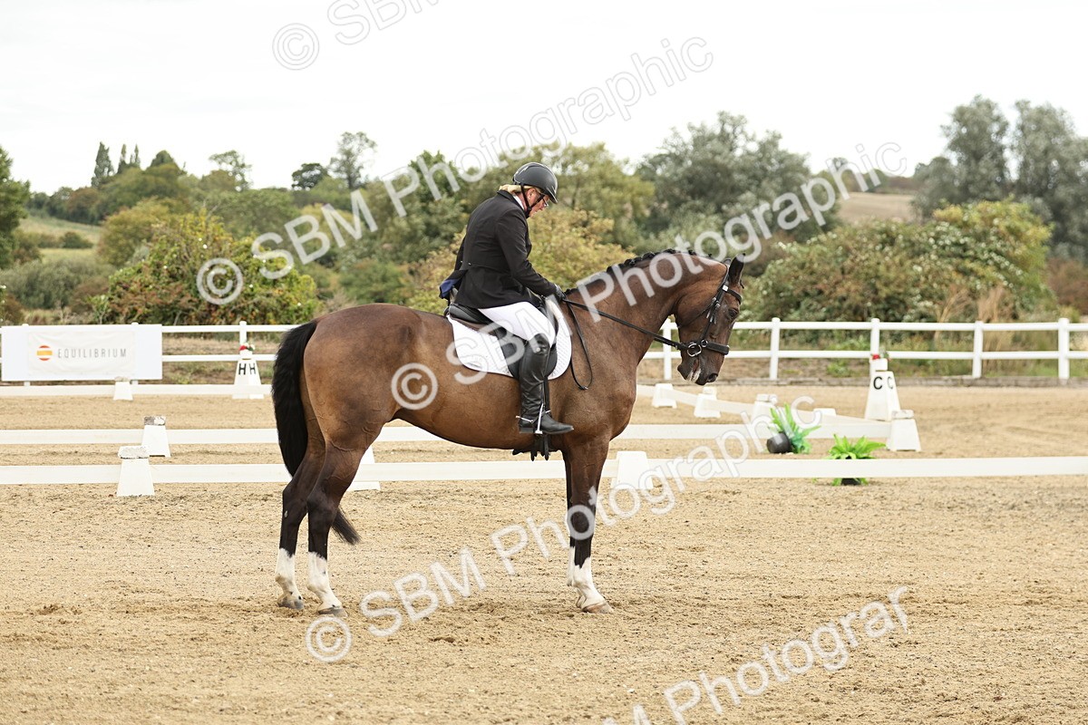 SBM_006954 - Class 21 - Medium 5 Bronze - 10.04-10.52