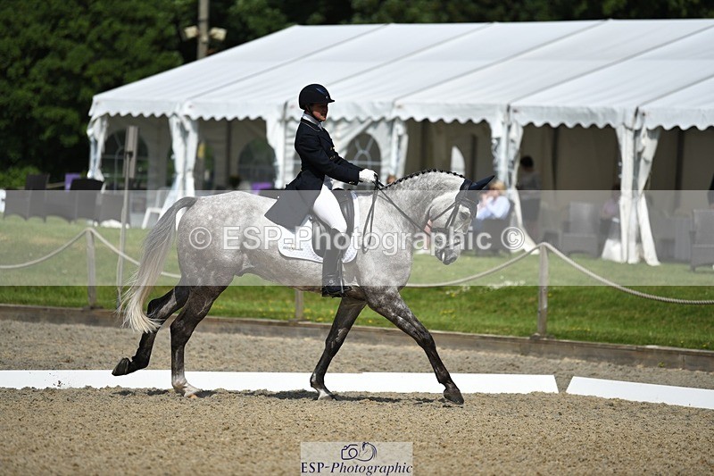230525-105426-01816 - 316-D'ARTAGNAN-Tiana_Coudray-WEDTrotUp+DR