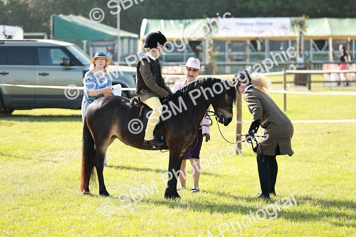 SBM_11202 - Class 106-107 - BSPS LIHS Working Sports Pony