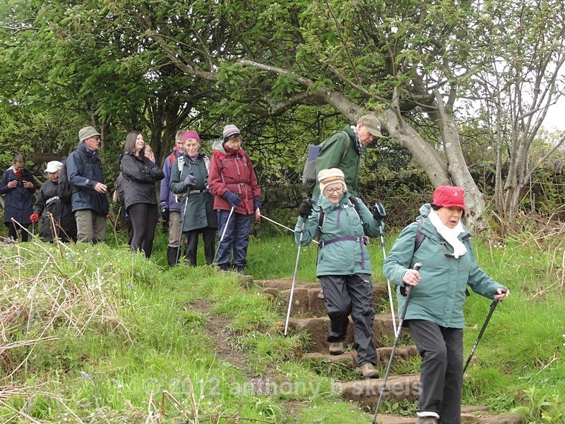 040 Heading out from Ravenscar onto the Cleveland Way - York Minster Walkers Collection 2024