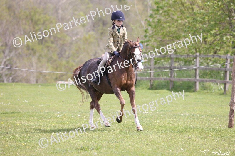 20260426-4047 - Class 33 - Best Pony 14.2hh and Under