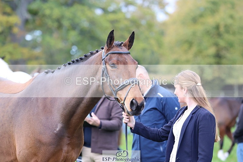 251026A-103834-23160 - F-487-Polly.McHardy