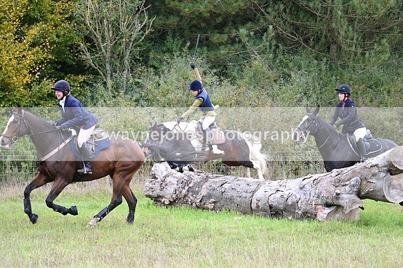 WJ7_3764 - Camera 1 Line 1