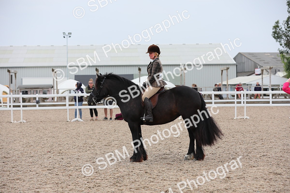 SBM_18077 - Class 316 Best Pony/Rider Combination