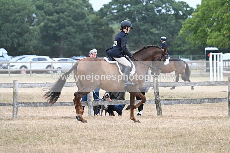 WJ7_0892 - Class 7 Riding Club Show Horse