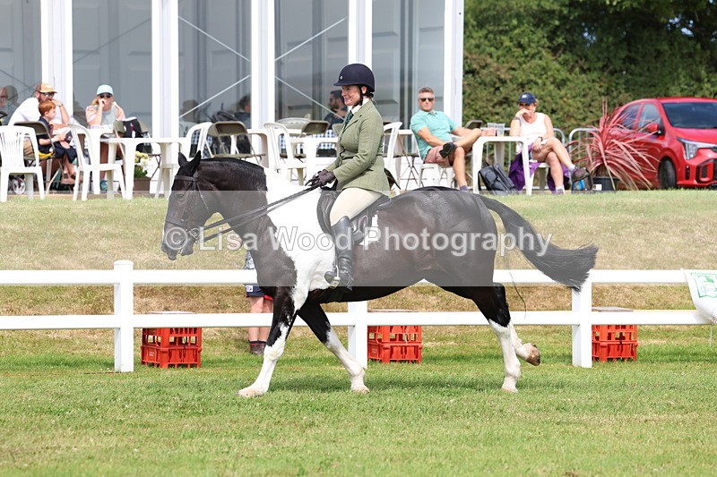 3E7A0201 - Class 6: Rising Star Maxi Cobs