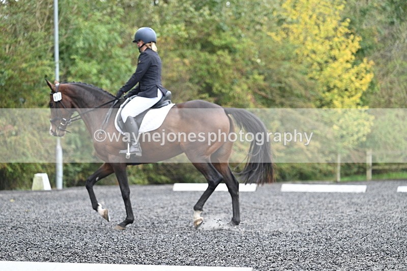 WJ7_3824 - Time 11:04 to 11:38