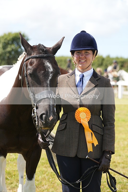 DSC07149 - Class 61: Coloured Horse 4yrs & Over