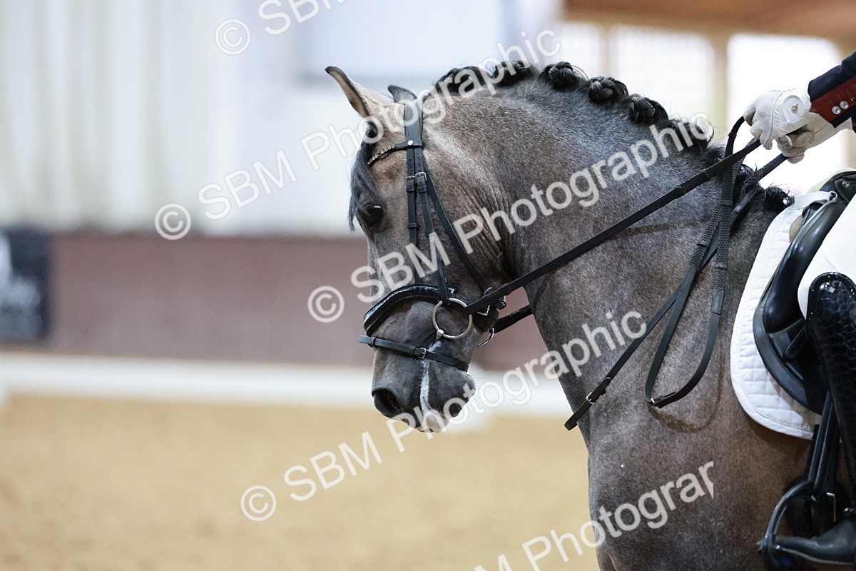 SBM_025767 - All MCI Classes