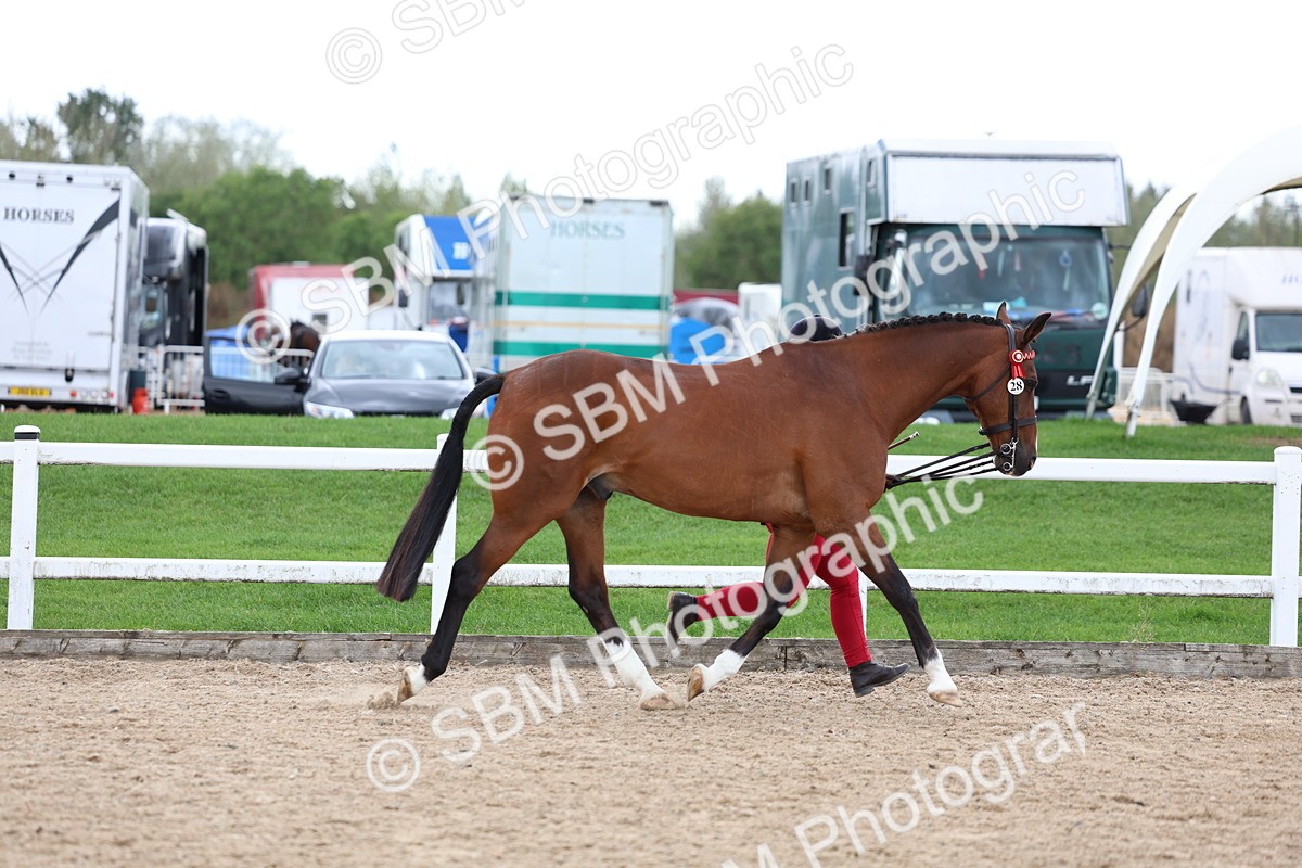 SBM_05009 - Class 27 - IH Competition Horse or Pony