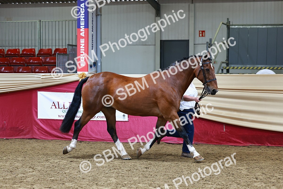 SBM_22157 - Class 902 - Supreme Final - IH Diamond