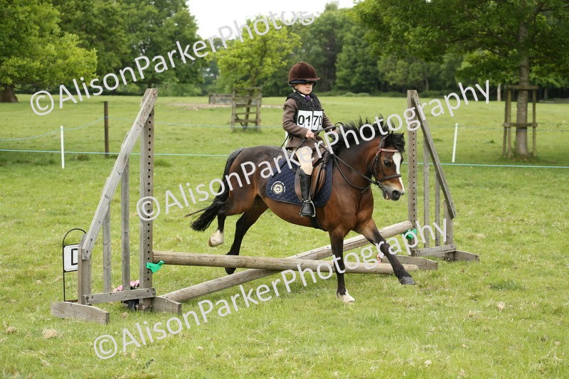 20250517-0502 - Class 20 - Beginners Working Hunter