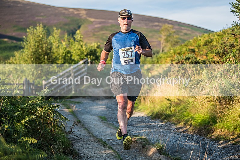 Latrigg-602 - Not Round Latrigg Race Wednesday 14th August 2024