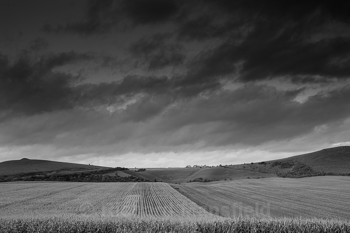  - Landscape