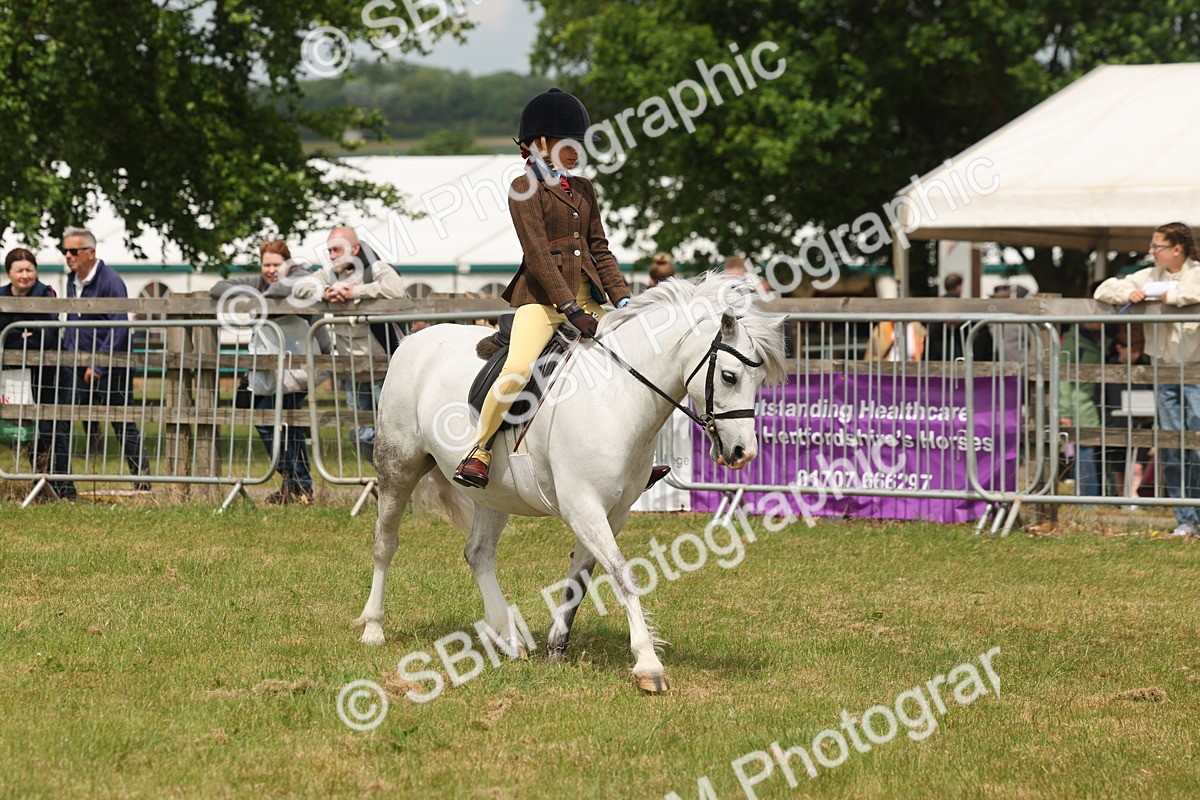 SBM_06857 - Class 74-75 - M&M Lead Rein and First Ridden Pony