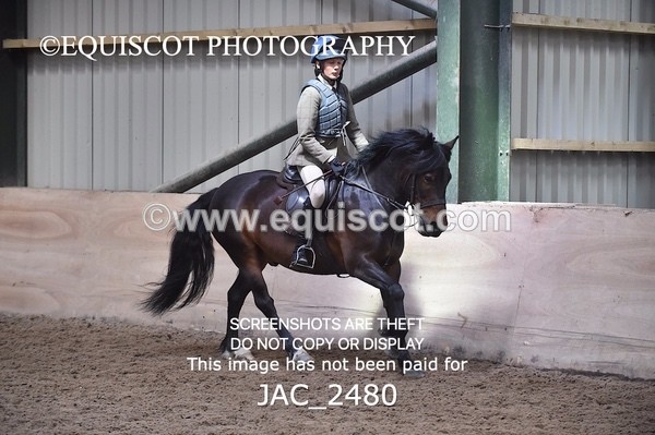 JAC_2480 - CLASS 3 Intermediate Working Hunter