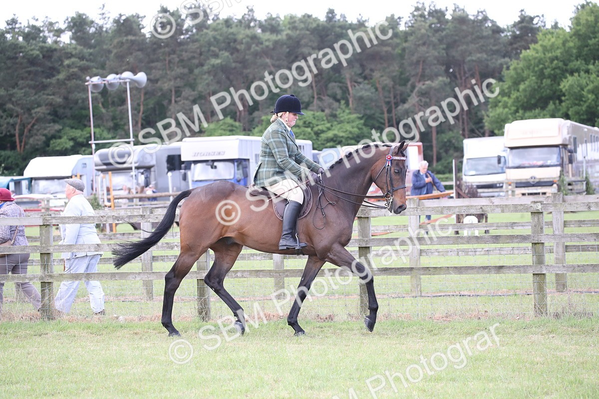 SBM_14159 - Class 113-114 - Retraining of Racehorses Ridden