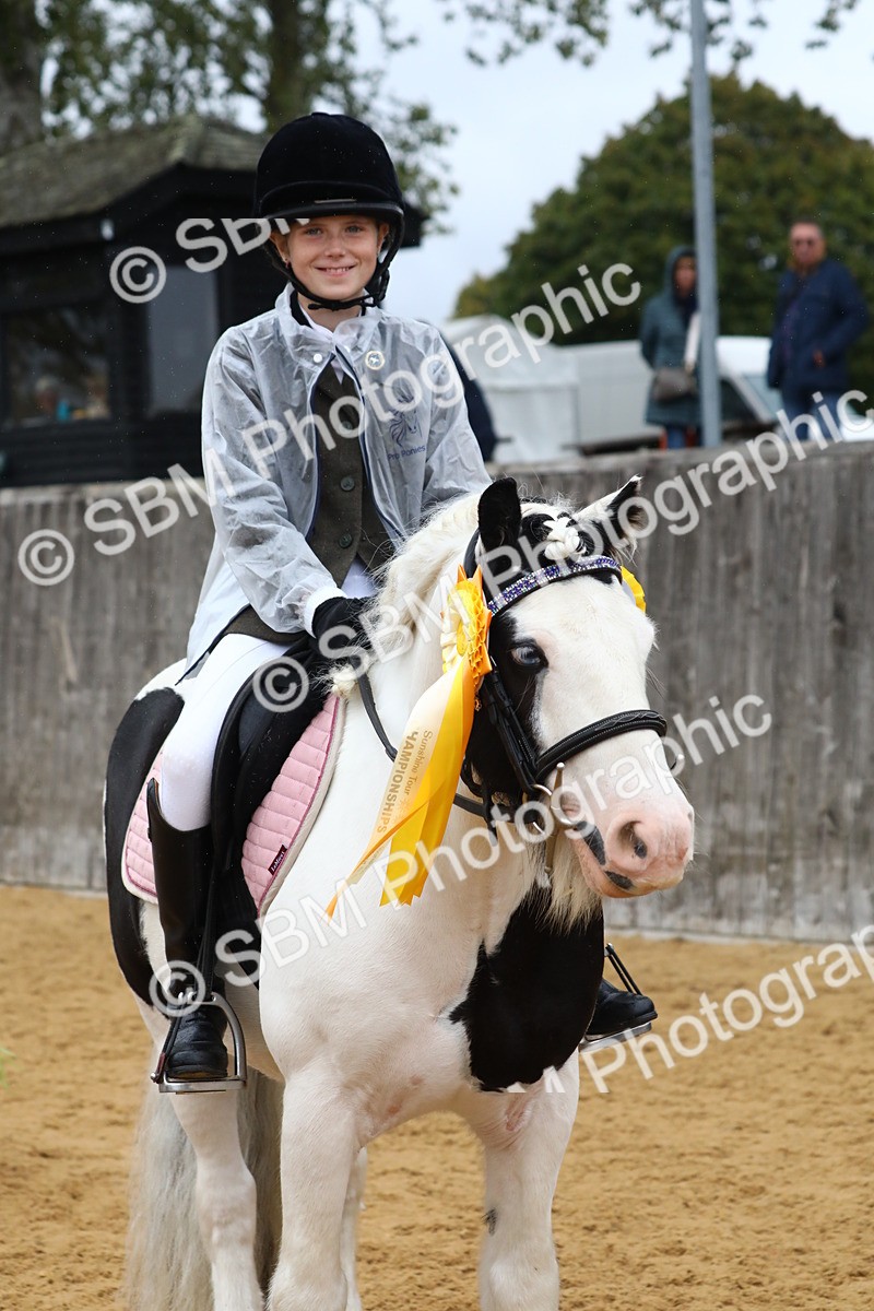 SBM_72115 - J3b - Mini Tour Junior Pony 40cm Championship