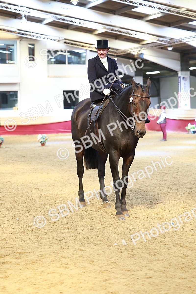 SBM_23486 - class 906 - Supreme Final - Ridden Pre Vet