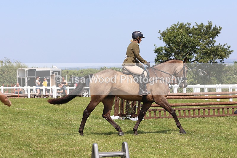 JPP_3323 - Class 22: Working Hunter 70cm