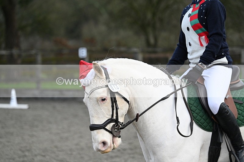 WJ7_4833 - Time 11:35 to 11:48