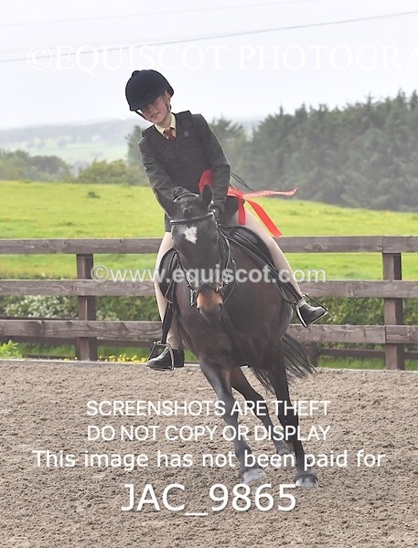 JAC_9865 - CLASS 2 Novice Working Hunter (0.60m - 0.70m)
