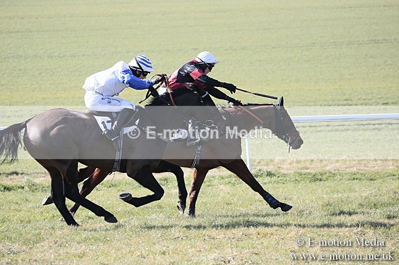 PtP 240218 77 - Vine & Craven Hunt Point-to-Point Barbury racecourse 24/02/18