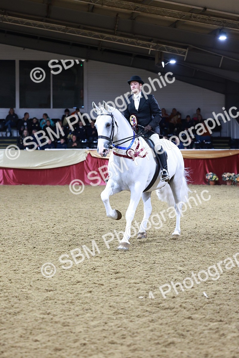 SBM_21173 - class Q - Ridden Horse Champ