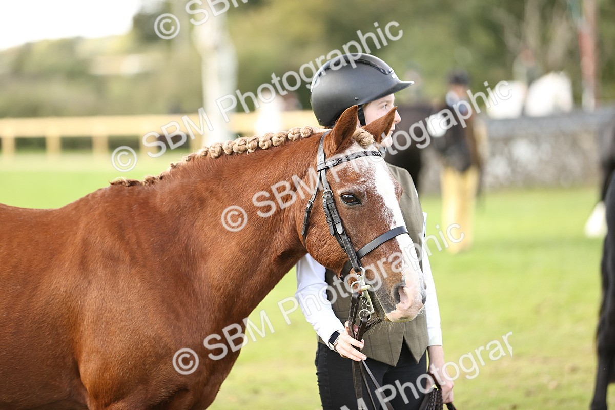 SBM_26277 - S5 - Novice & Newcomers In Hand