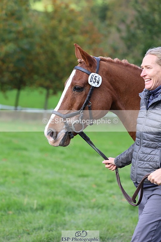 251026A-122244-26056 - H-654-Philippa.Skelton