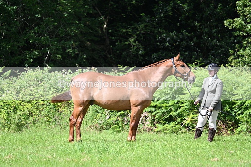 WJ7_1319 - Class 11 Condition & Turnout