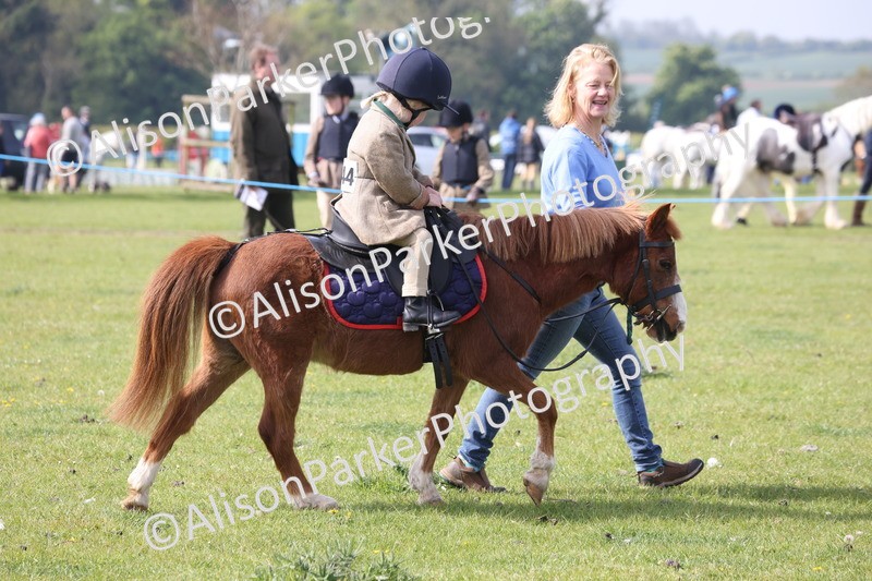 20260426-0451 - Class 30 - Tiny Tots Lead Rein